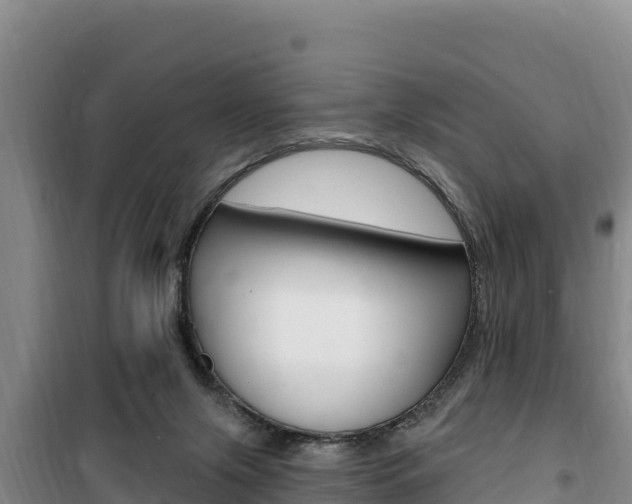 X0000100200071200805300756