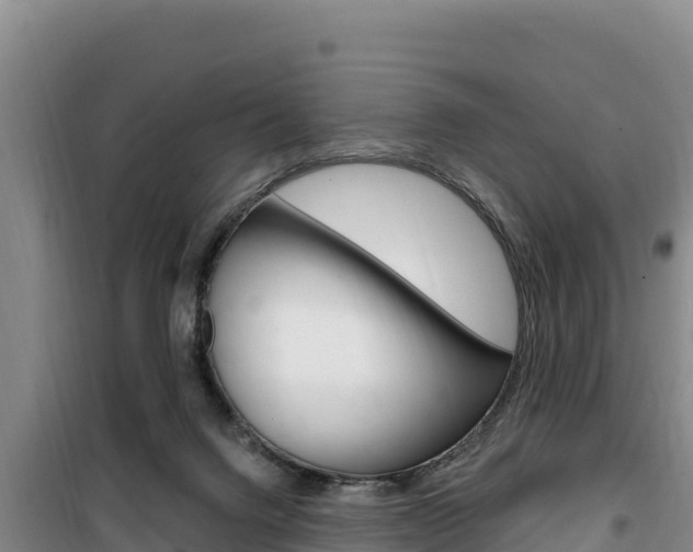 X0000100200072200805300756