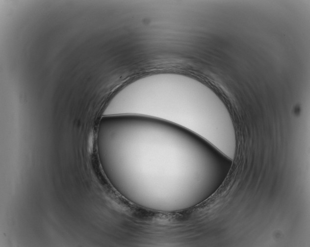X0000100200076200805300756