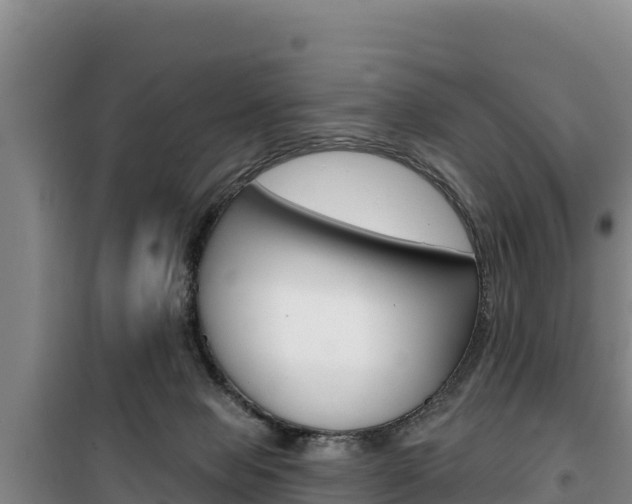 X0000100200077200805300756