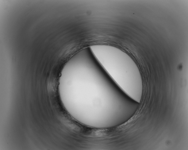 X0000100200078200805300756