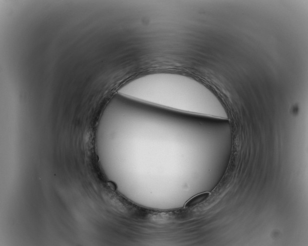 X0000100200079200805300756