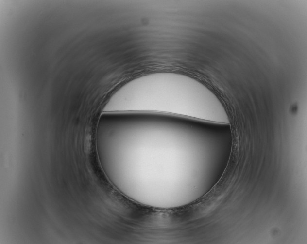 X0000100200080200805300756