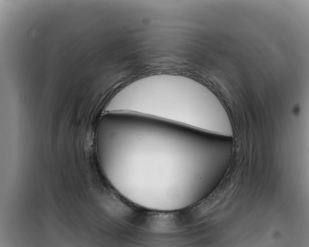 X0000100200081200805300756
