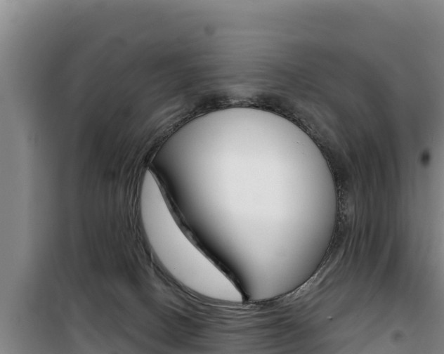 X0000100200082200805300756