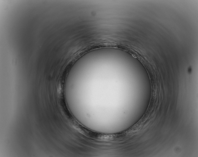 X0000100200084200805300756