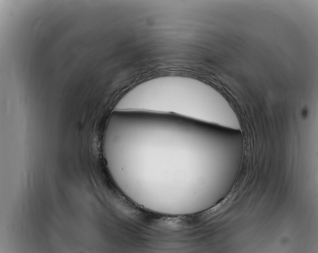 X0000100200086200805300756