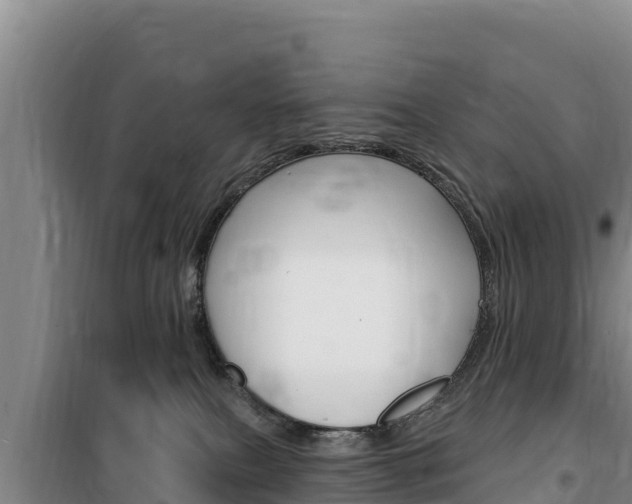 X0000100200087200805300756