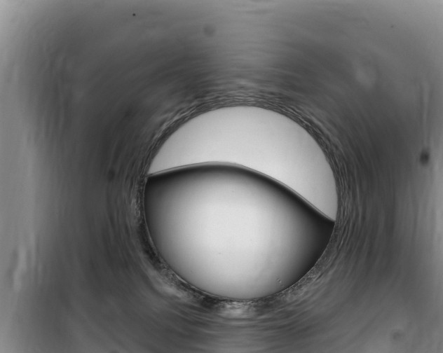 X0000100200088200805300756
