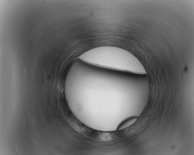 X0000100200091200805300756