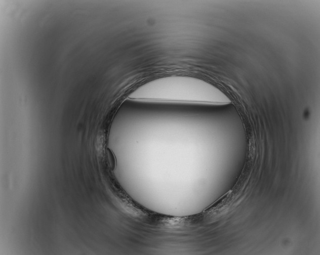 X0000100200092200805300756