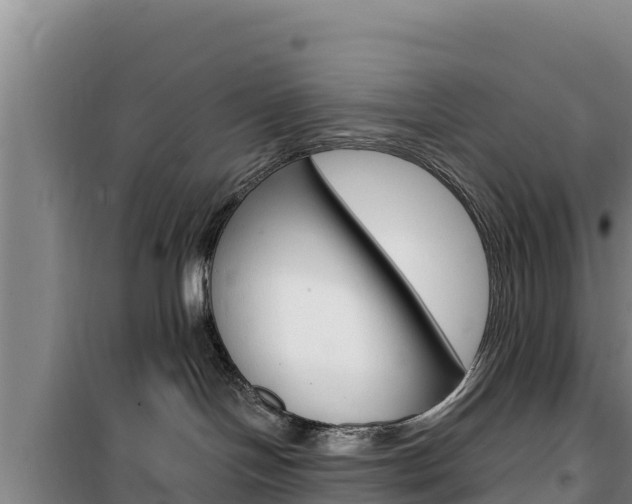 X0000100200094200805300756