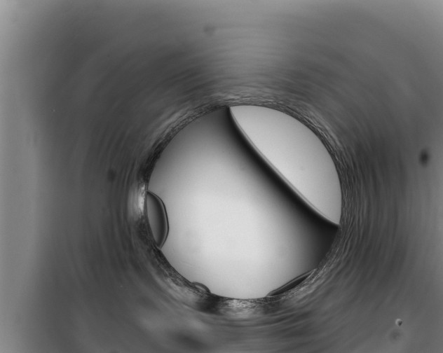 X0000100200095200805300756