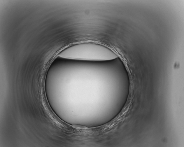 X0000100200097200805300756