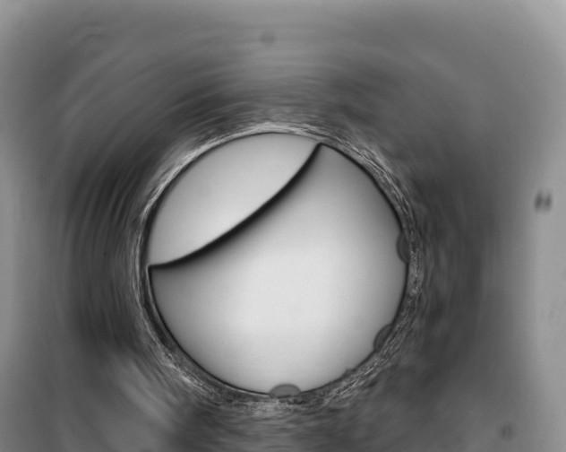 X0000100200098200805300756