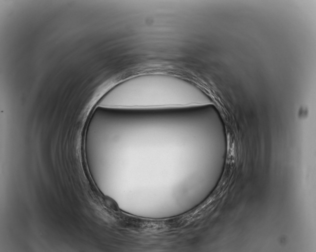 X0000100200099200805300756