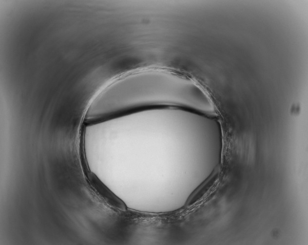 X0000100200100200805300756