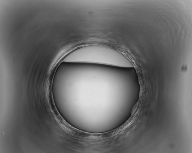 X0000100200101200805300756