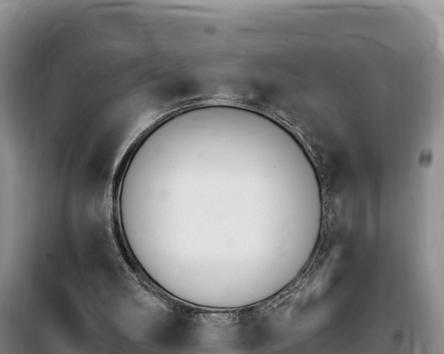 X0000100200102200805300756