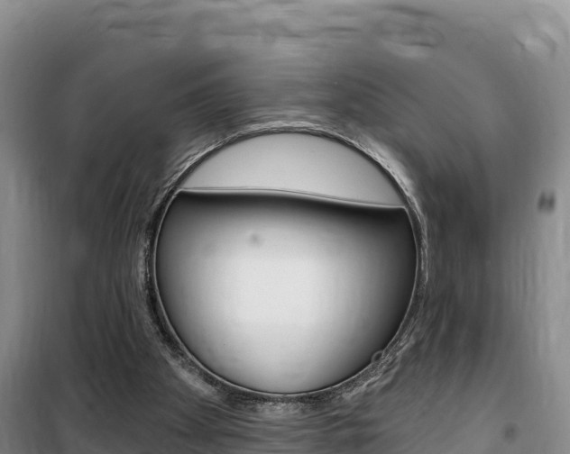 X0000100200105200805300755