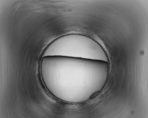 X0000100200106200805300755