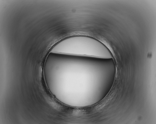 X0000100200109200805300755