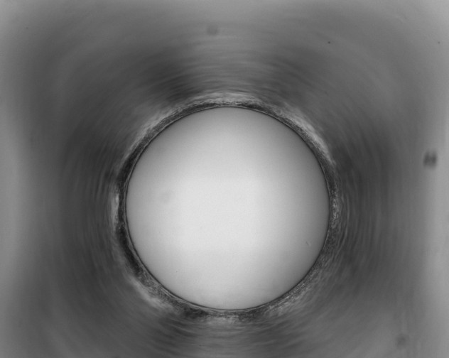 X0000100200110200805300755