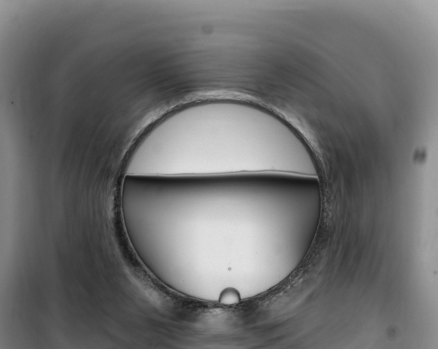 X0000100200111200805300755