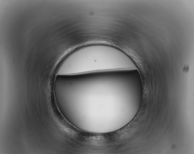 X0000100200112200805300755