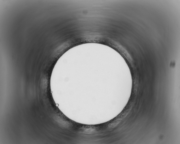 X0000100200113200805300755