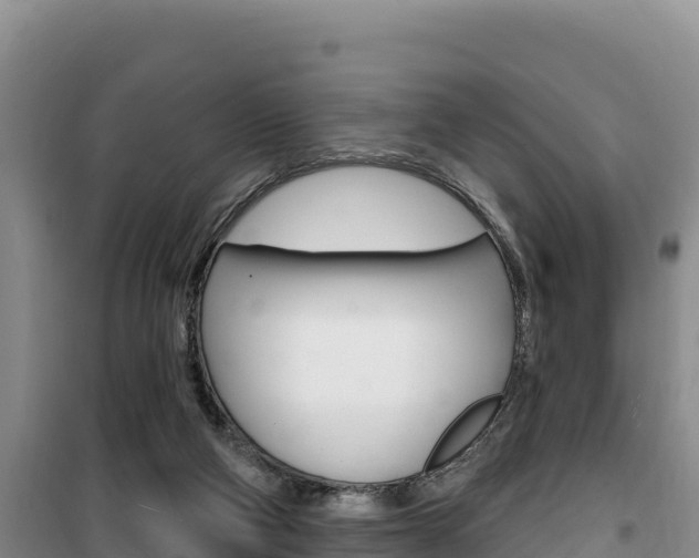X0000100200114200805300755