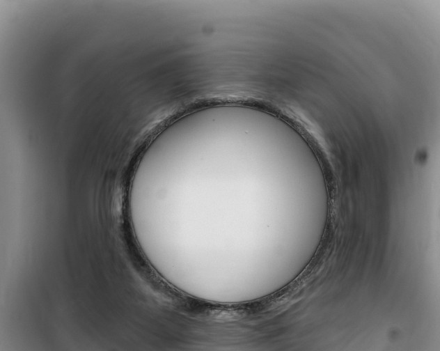 X0000100200115200805300755
