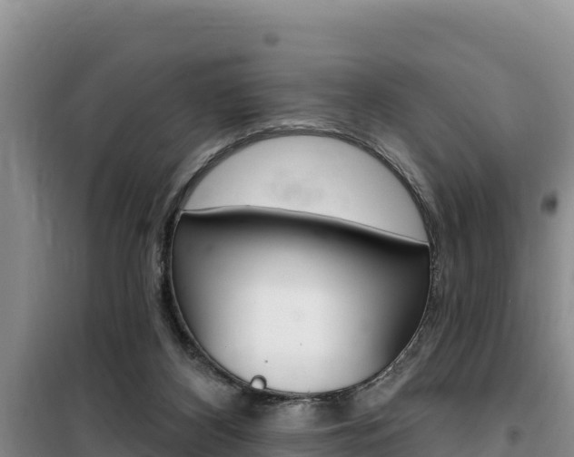 X0000100200116200805300755