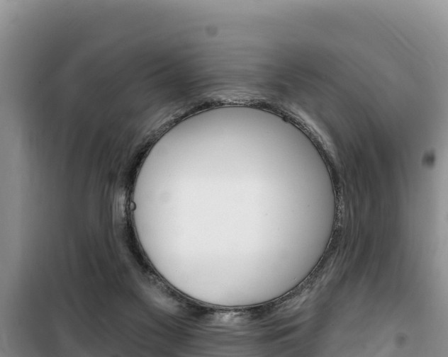 X0000100200117200805300755