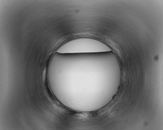 X0000100200118200805300755