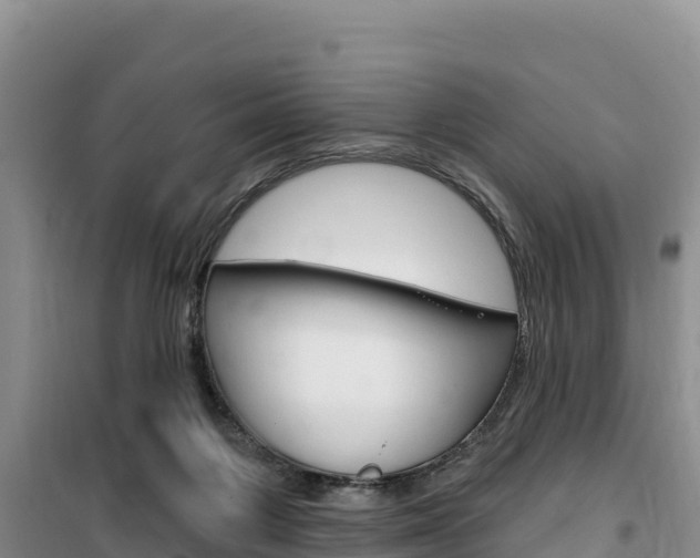 X0000100200119200805300755