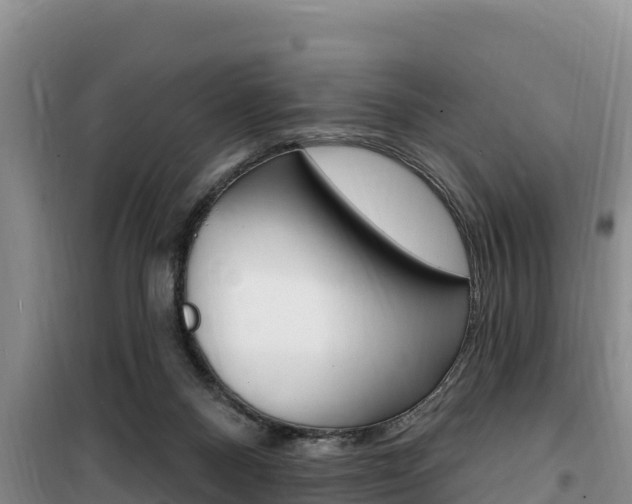 X0000100200120200805300755