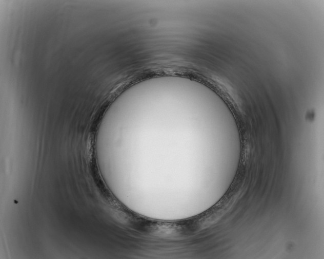 X0000100200121200805300755