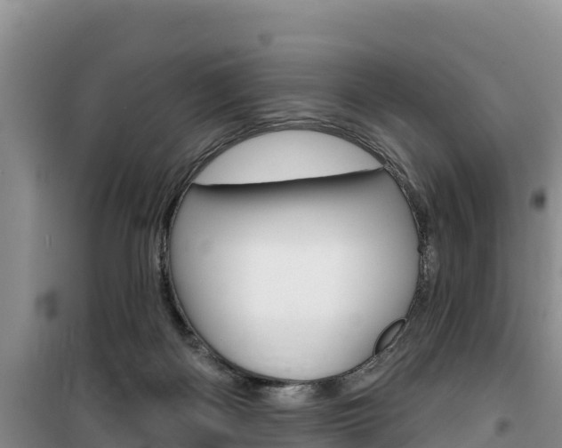X0000100200122200805300755