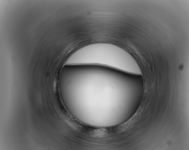 X0000100200124200805300755