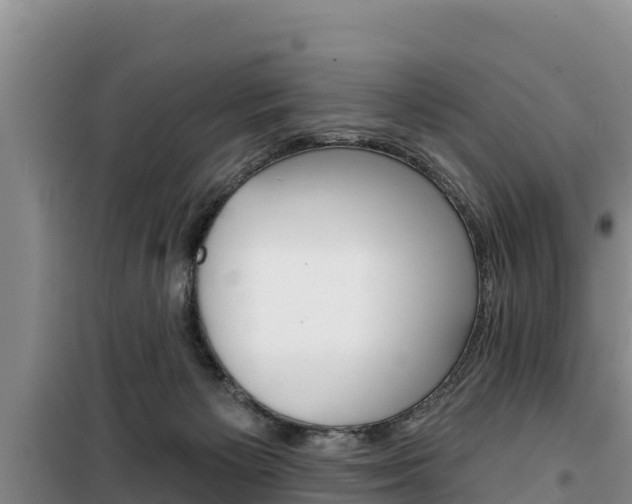 X0000100200125200805300755