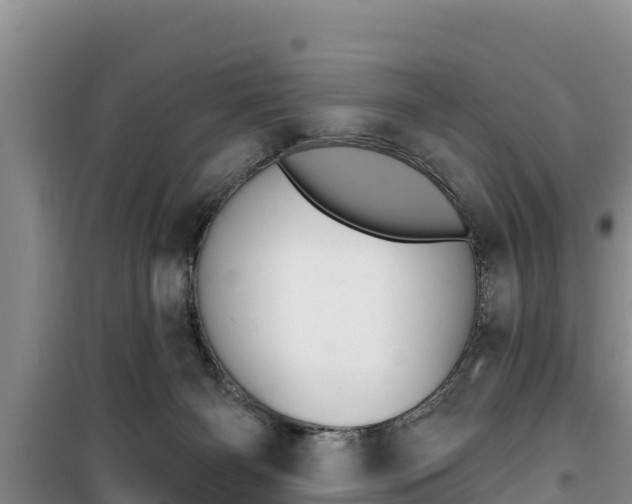 X0000100200126200805300755