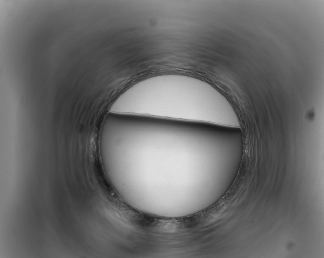 X0000100200127200805300755