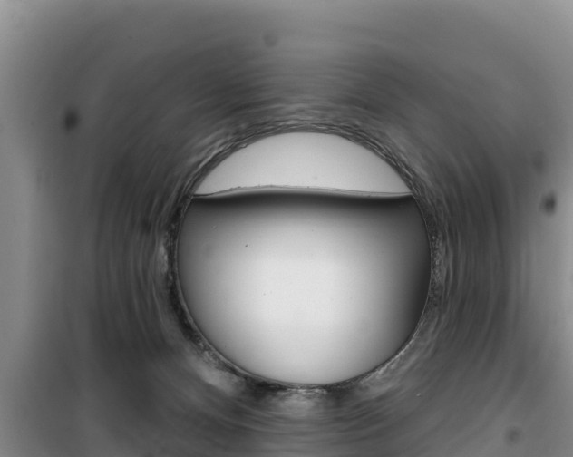 X0000100200128200805300755