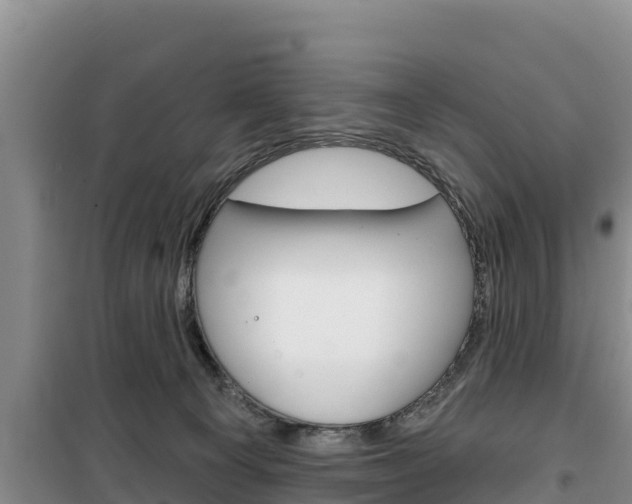 X0000100200129200805300755