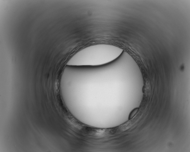 X0000100200130200805300755