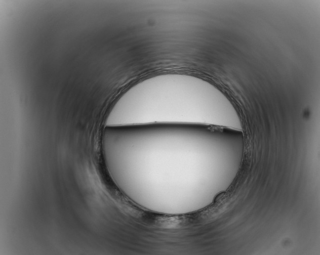 X0000100200131200805300755