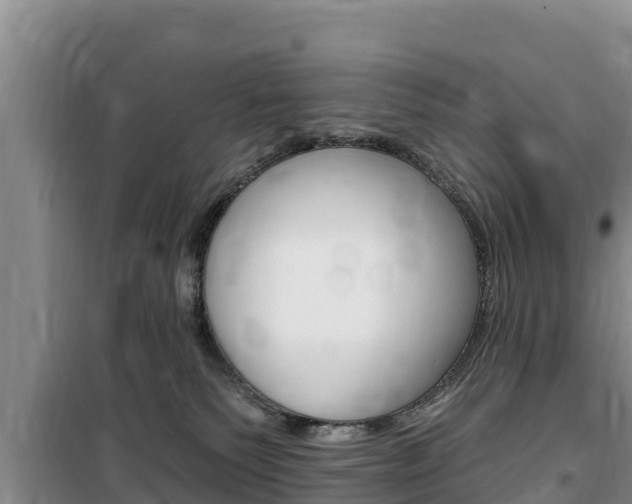 X0000100200135200805300755