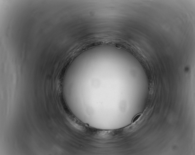 X0000100200136200805300755