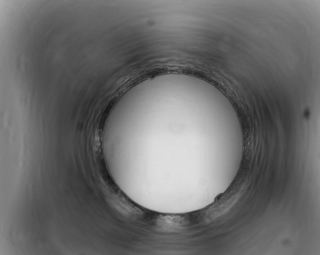 X0000100200137200805300755